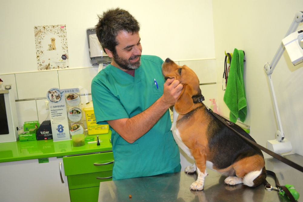 Jaime Borrás, veterinario especialista en cirugía y traumatología.