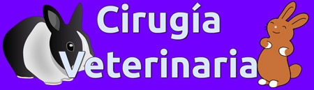 Banner de la sección de cirugía veterinaria de la clínica.