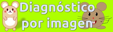 Banner de la sección de diagnóstico por imagen de la clínica.