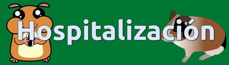 Banner de la sección de hospitalización de la clínica.